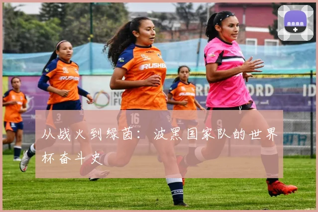 从战火到绿茵:波黑国家队的世界杯奋斗史