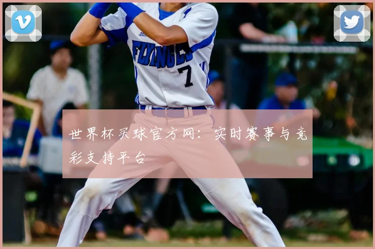 世界杯买球官方网：实时赛事与竞彩支持平台