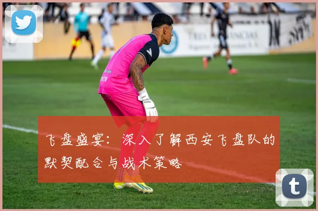 飞盘盛宴：深入了解西安飞盘队的默契配合与战术策略
