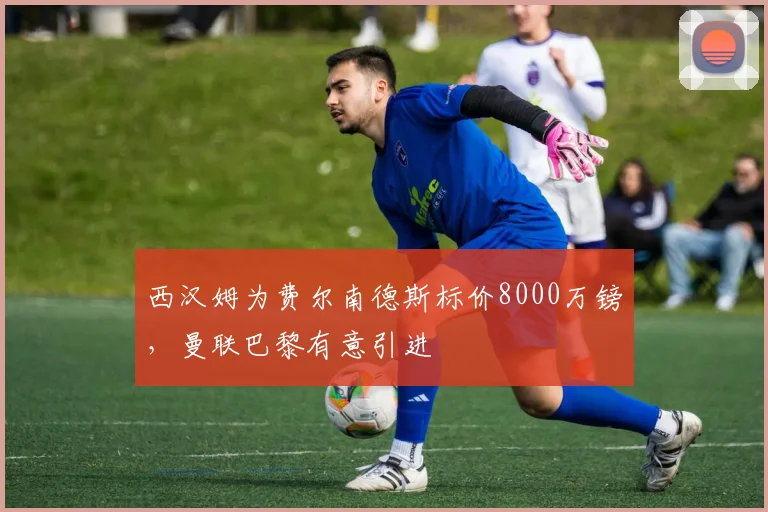 西汉姆为费尔南德斯标价8000万镑，曼联巴黎有意引进