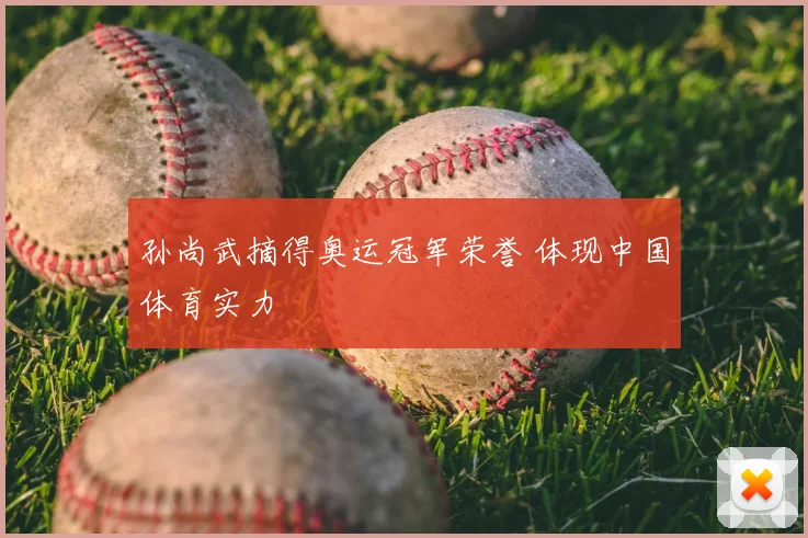 孙尚武摘得奥运冠军荣誉 体现中国体育实力