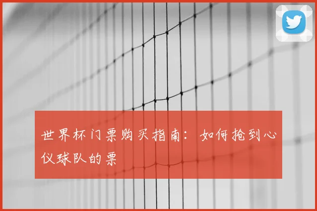 世界杯门票购买指南：如何抢到心仪球队的票