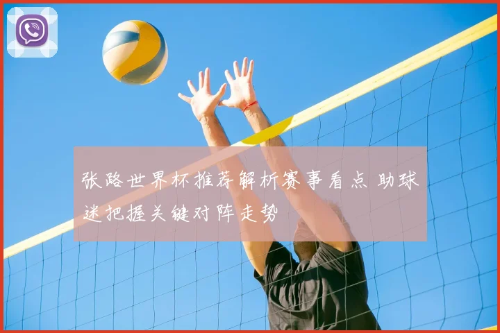 张路世界杯推荐解析赛事看点 助球迷把握关键对阵走势