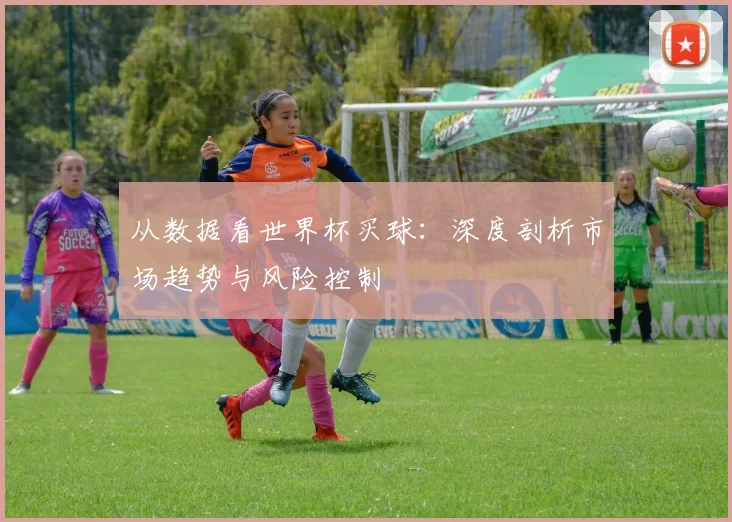 从数据看世界杯买球：深度剖析市场趋势与风险控制