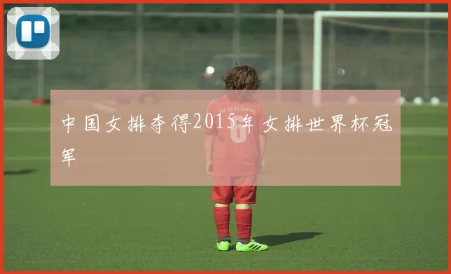 中国女排夺得2015年女排世界杯冠军