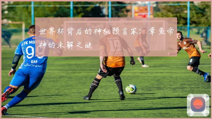 世界杯背后的神秘预言家：章鱼帝神的未解之谜