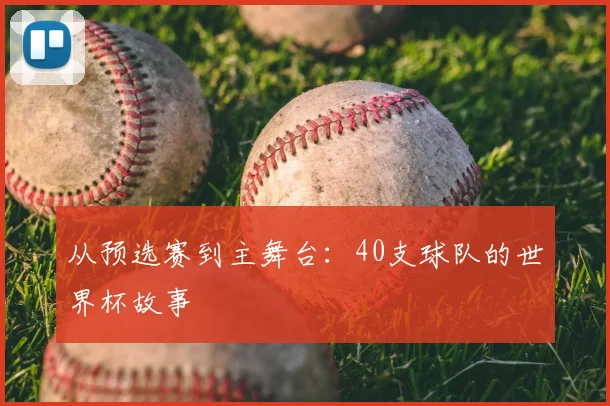 从预选赛到主舞台：40支球队的世界杯故事