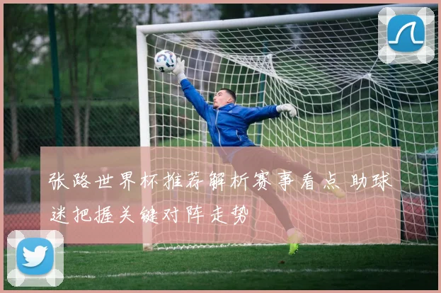 张路世界杯推荐解析赛事看点 助球迷把握关键对阵走势