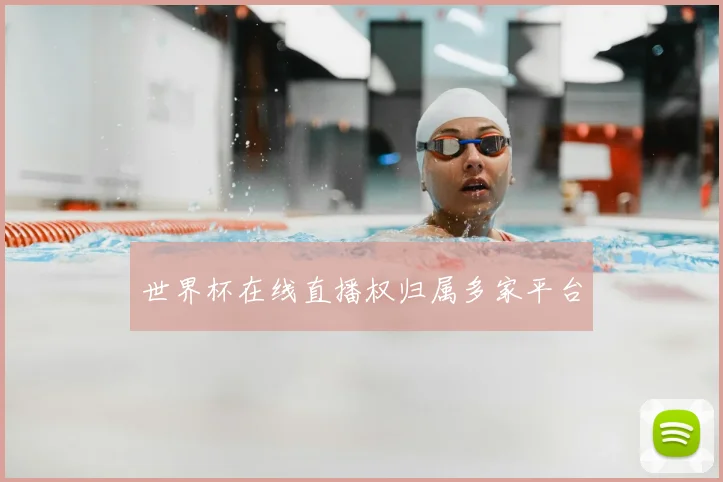 世界杯在线直播权归属多家平台