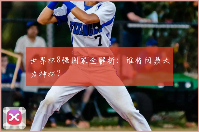 世界杯8强国家全解析：谁将问鼎大力神杯？