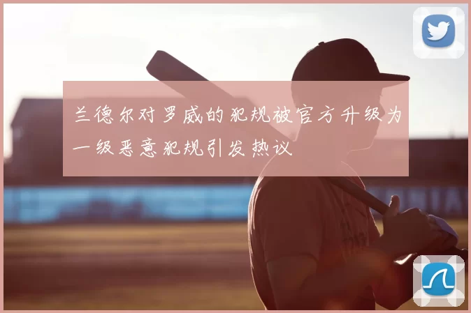 兰德尔对罗威的犯规被官方升级为一级恶意犯规引发热议